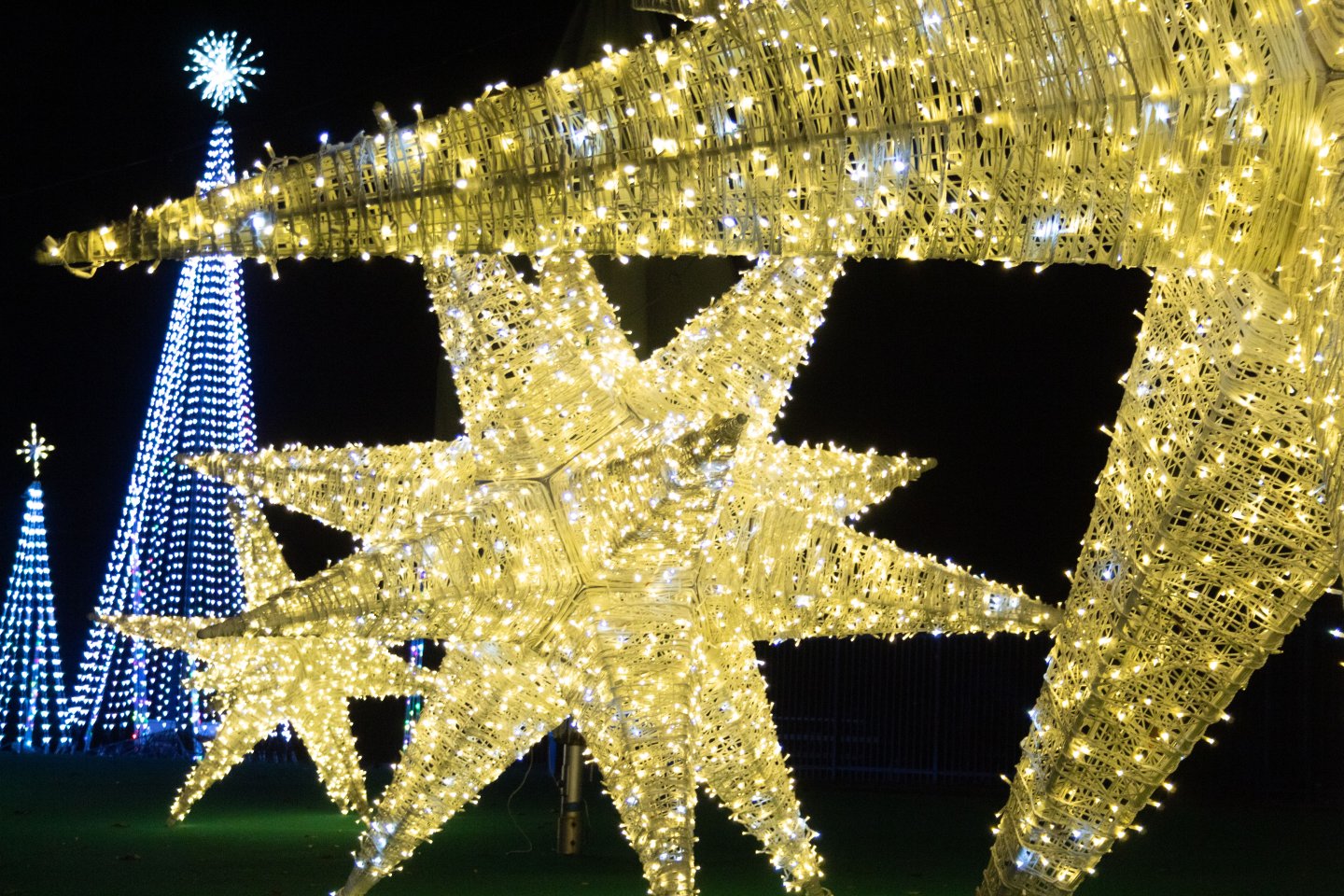 Giant yellow start in the foreground and white holiday trees in the background