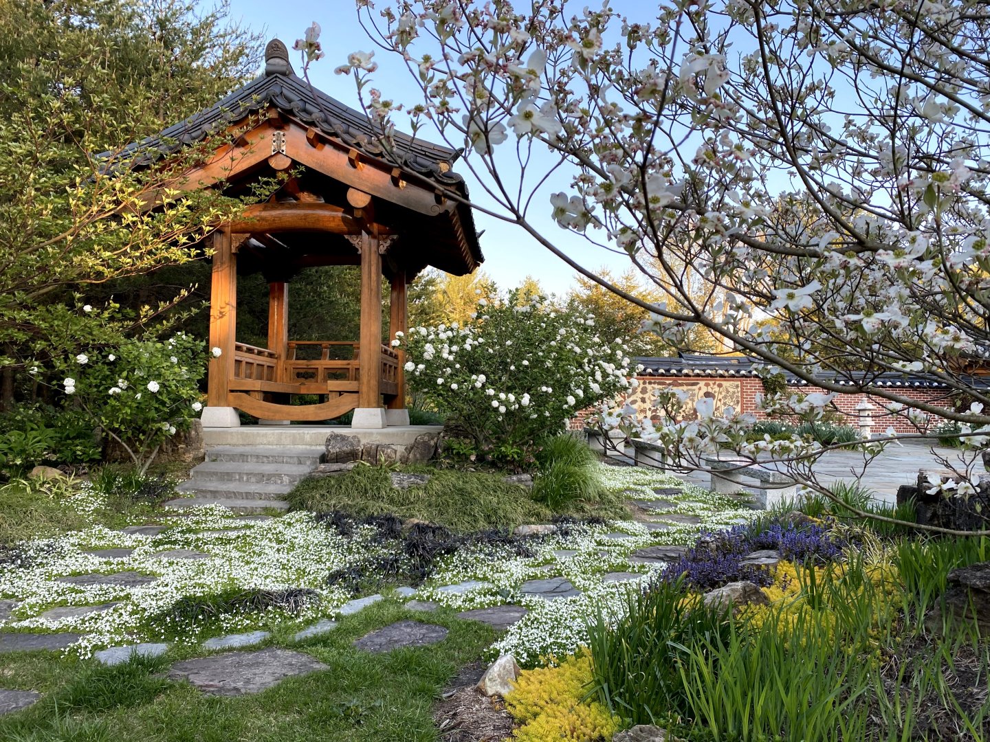 Korean Bell Garden at Meadowlark Botanical Gardens