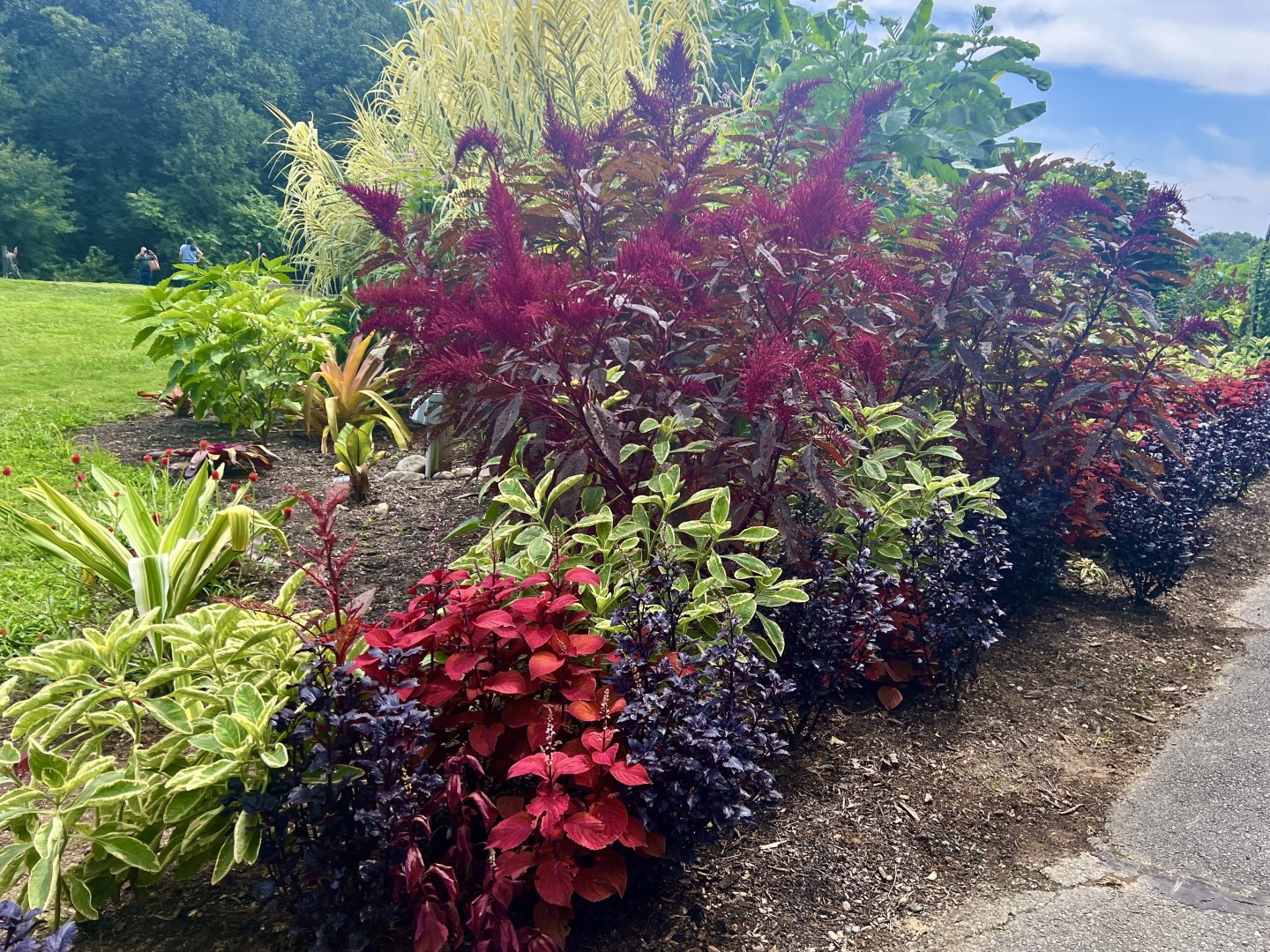 Bold garden at Meadowlark Botanical Gardens. Plants in shades of green, red, maroon, and purple line the path