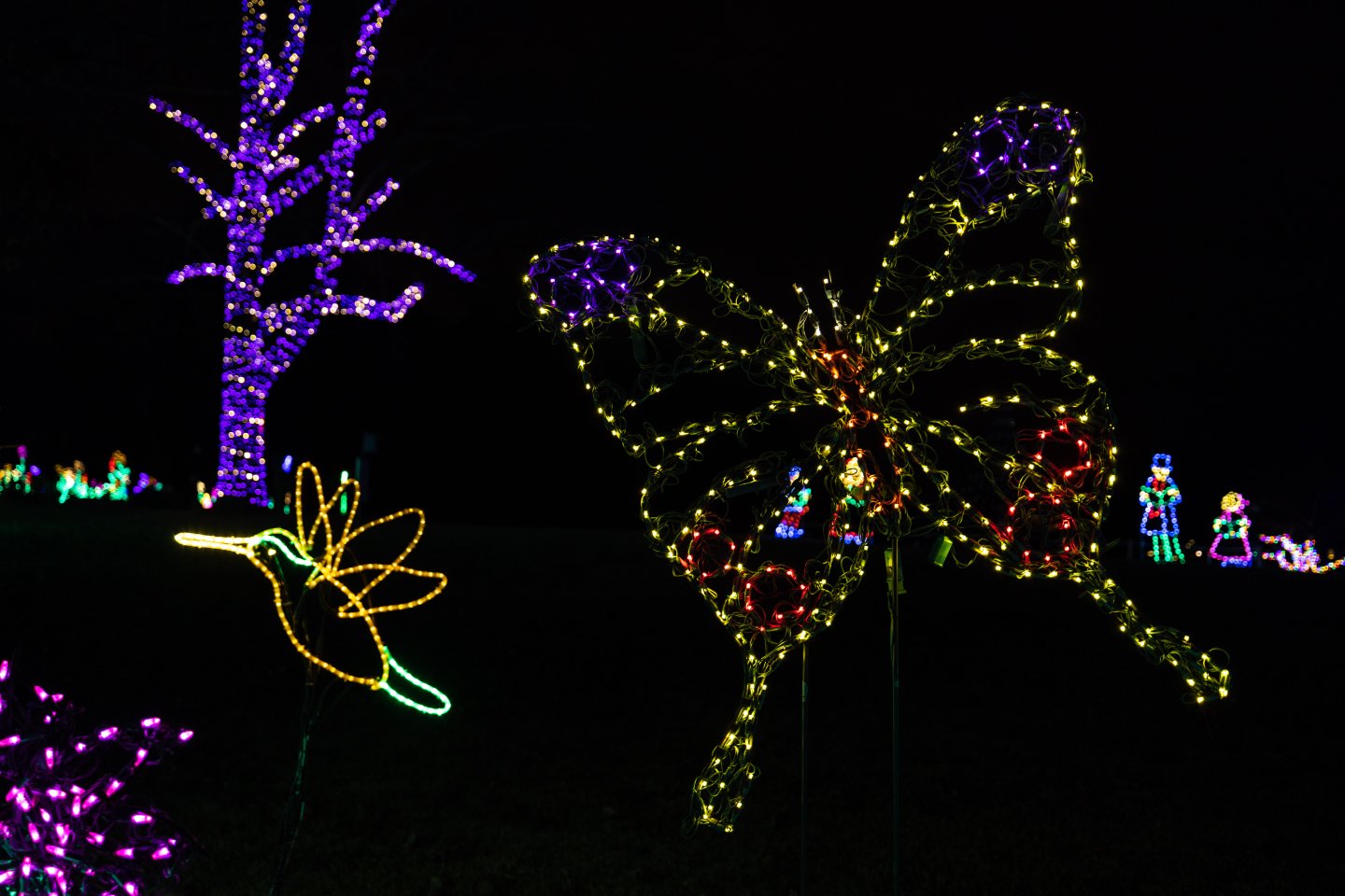 butterfly and hummingbird light display