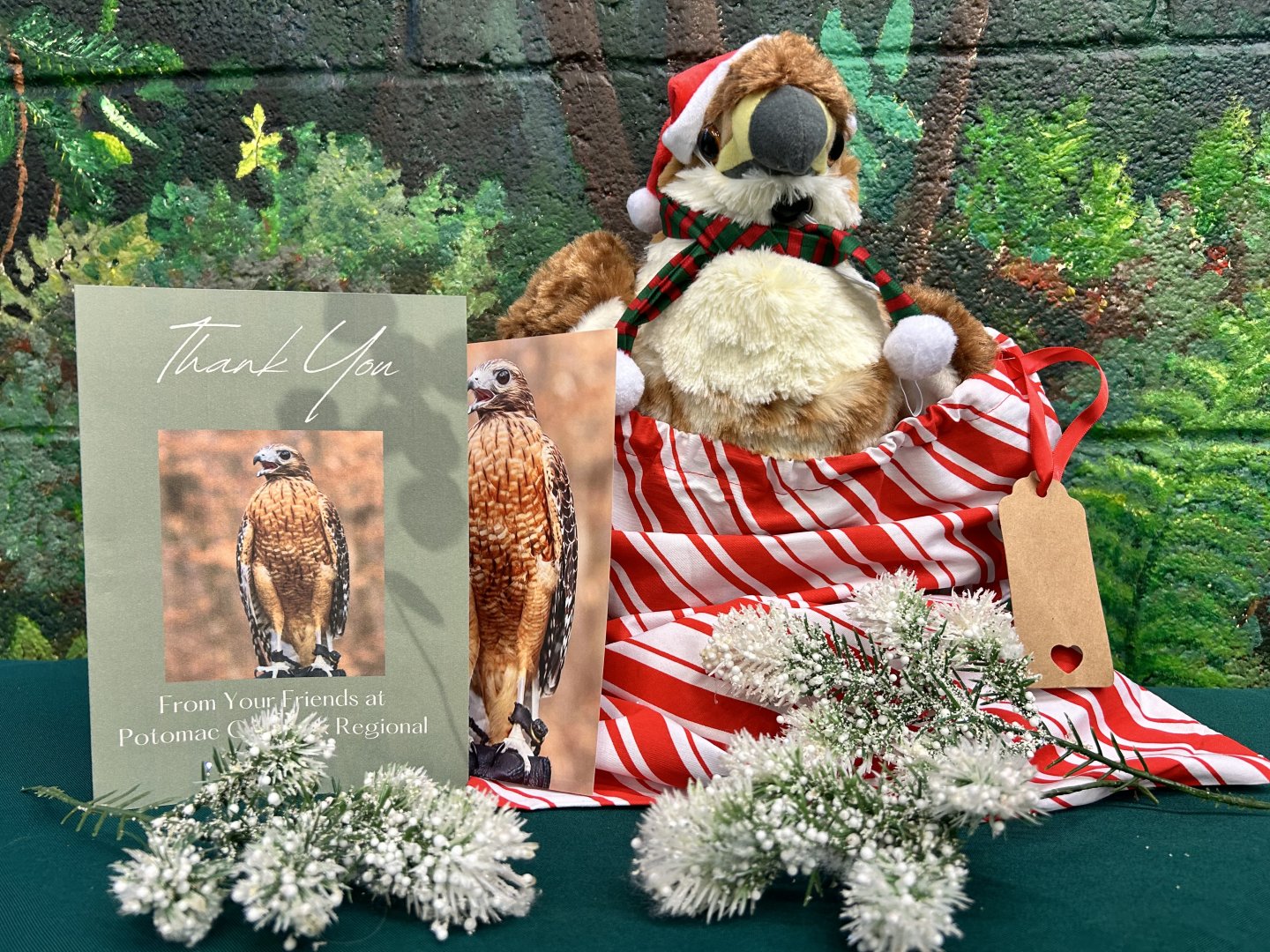 Stuffed animal bird with thank you card