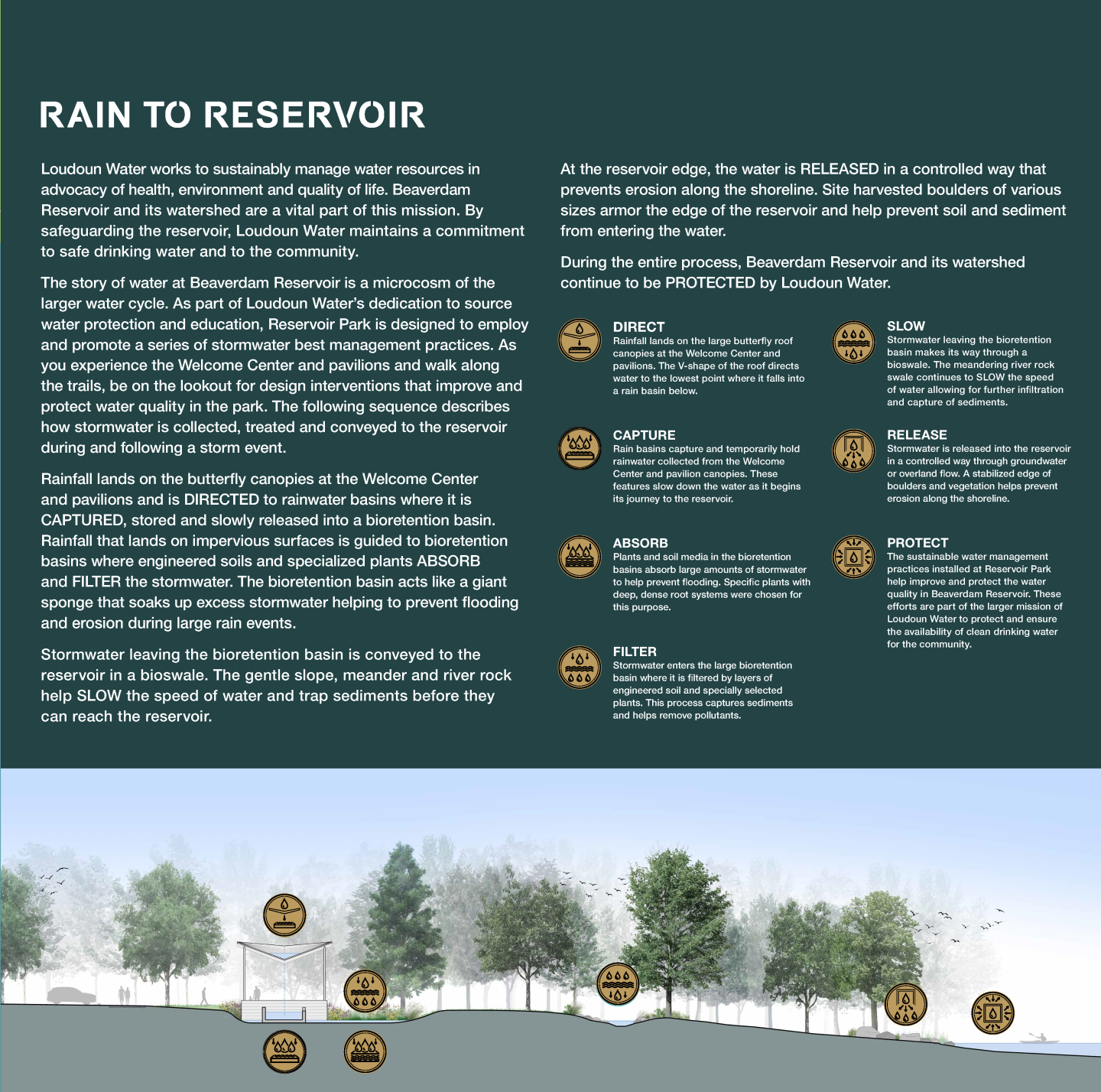 Rain to Reservoir