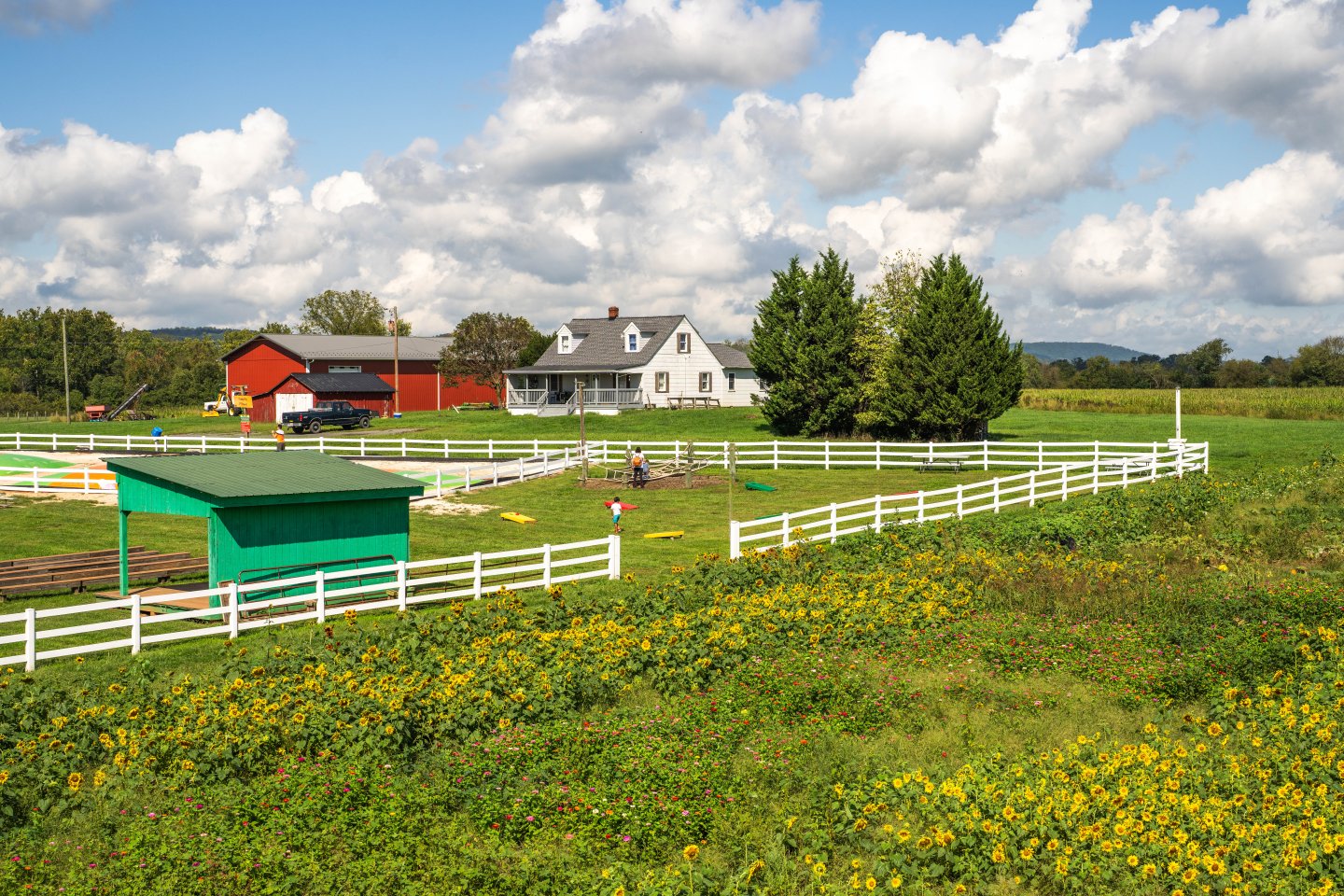 Temple Hall Farm