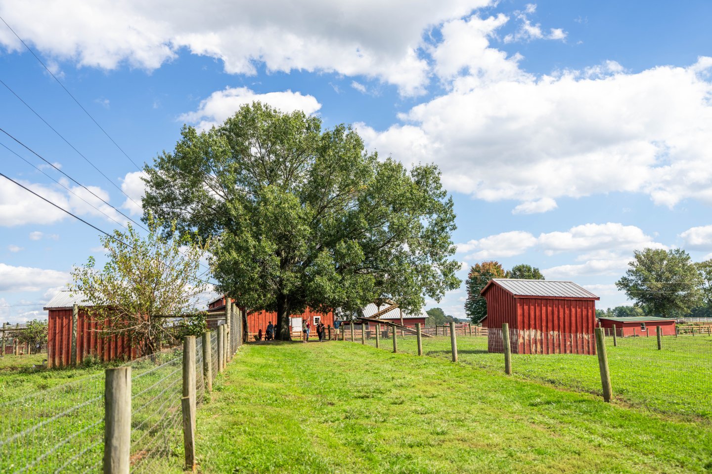 Temple Hall Farm