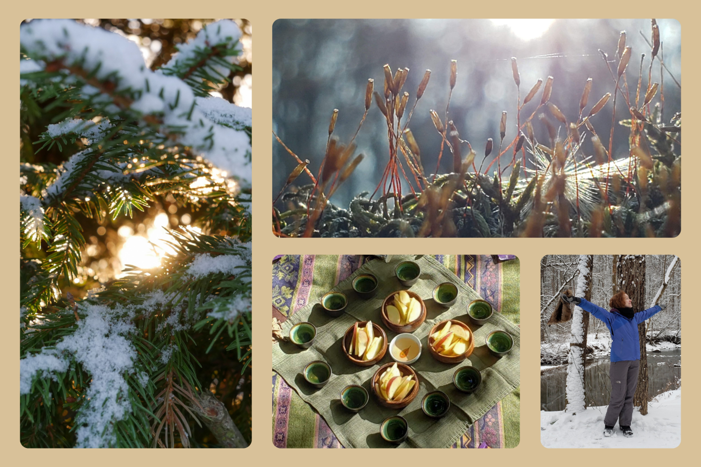WARMTH WITHIN WINTER