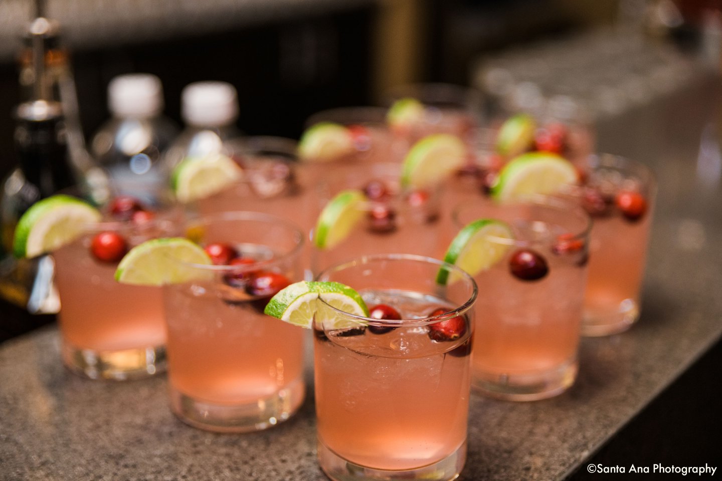 Holiday Party - Santa Ana Photograhy