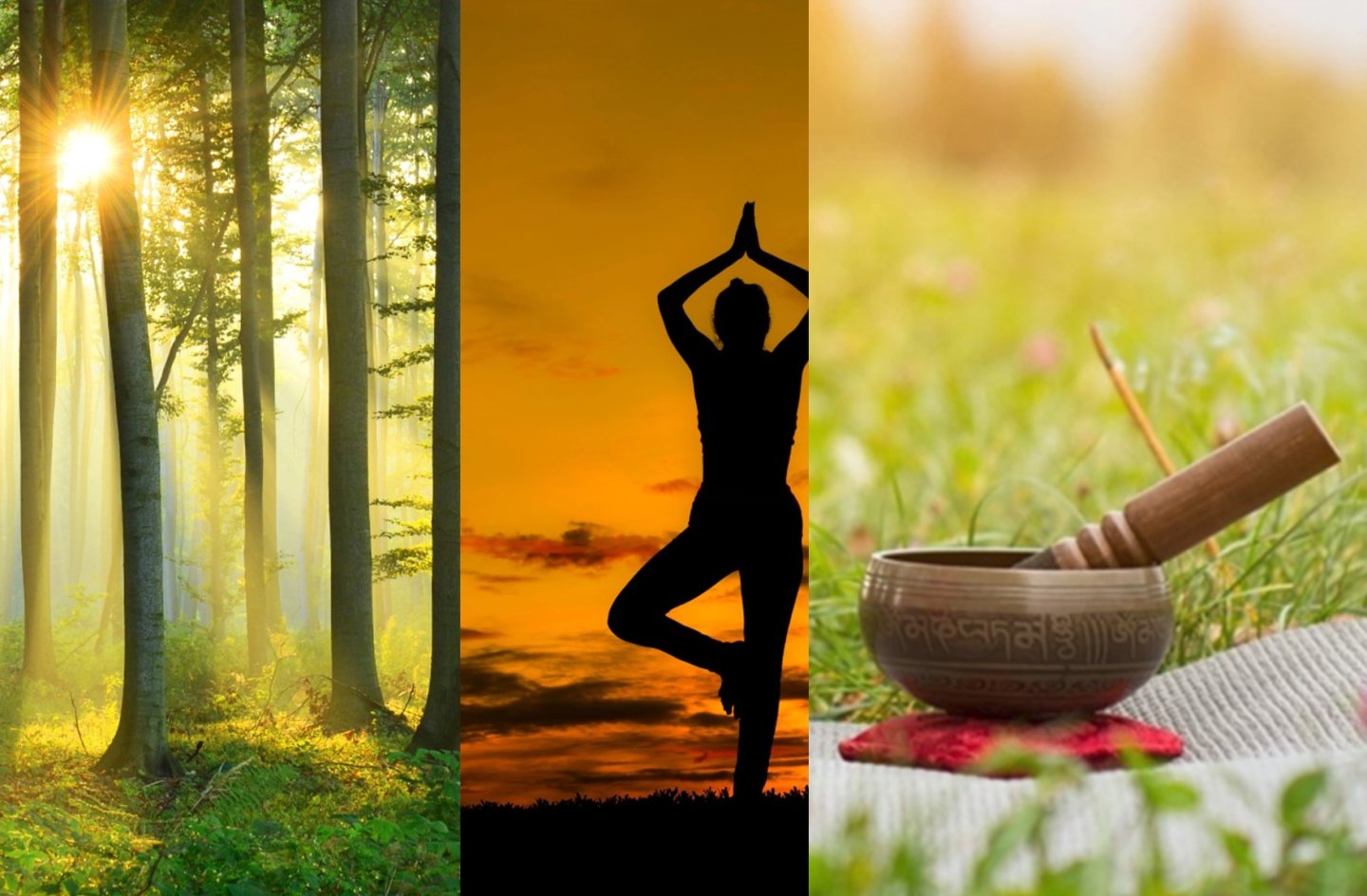 forest bathing and yoga and sound therapy photos
