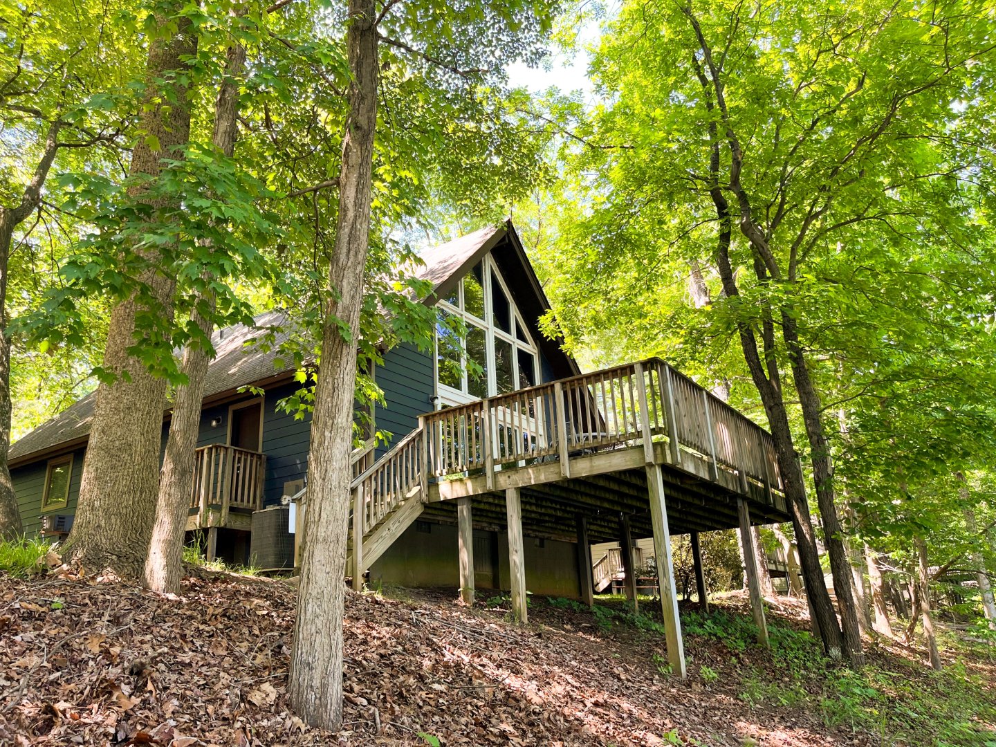 Cottage with large windows and deck surrounded by lush green trees.