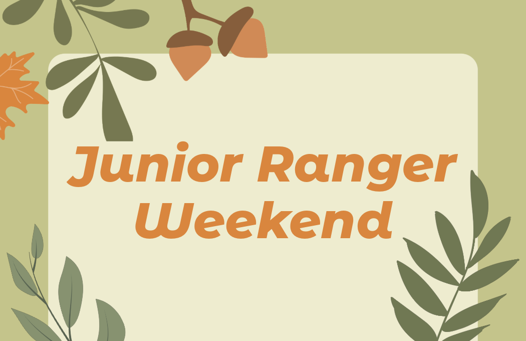 Decorative graphic with leaves and acorns around text.