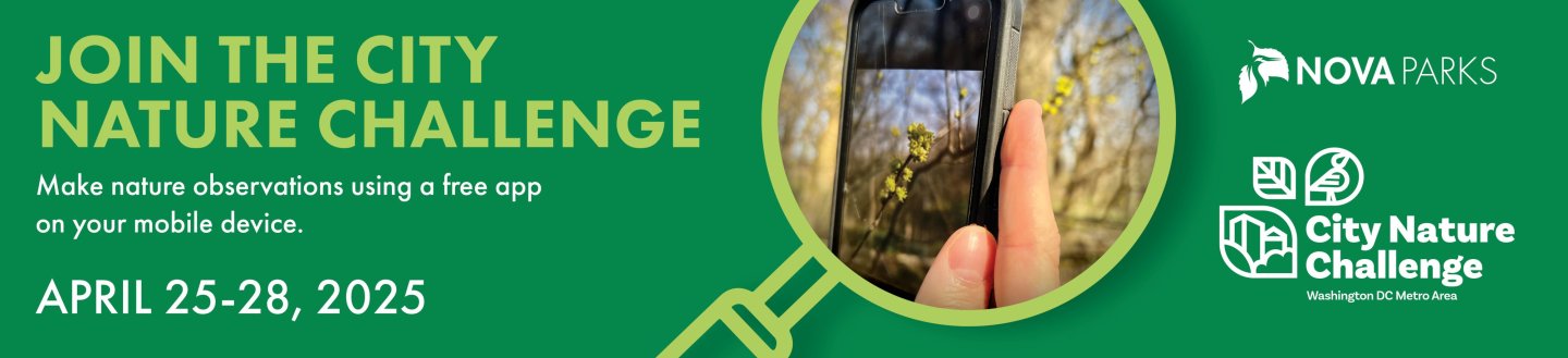 Green banner with a phone capturing outdoor nature, promoting a city nature challenge event.