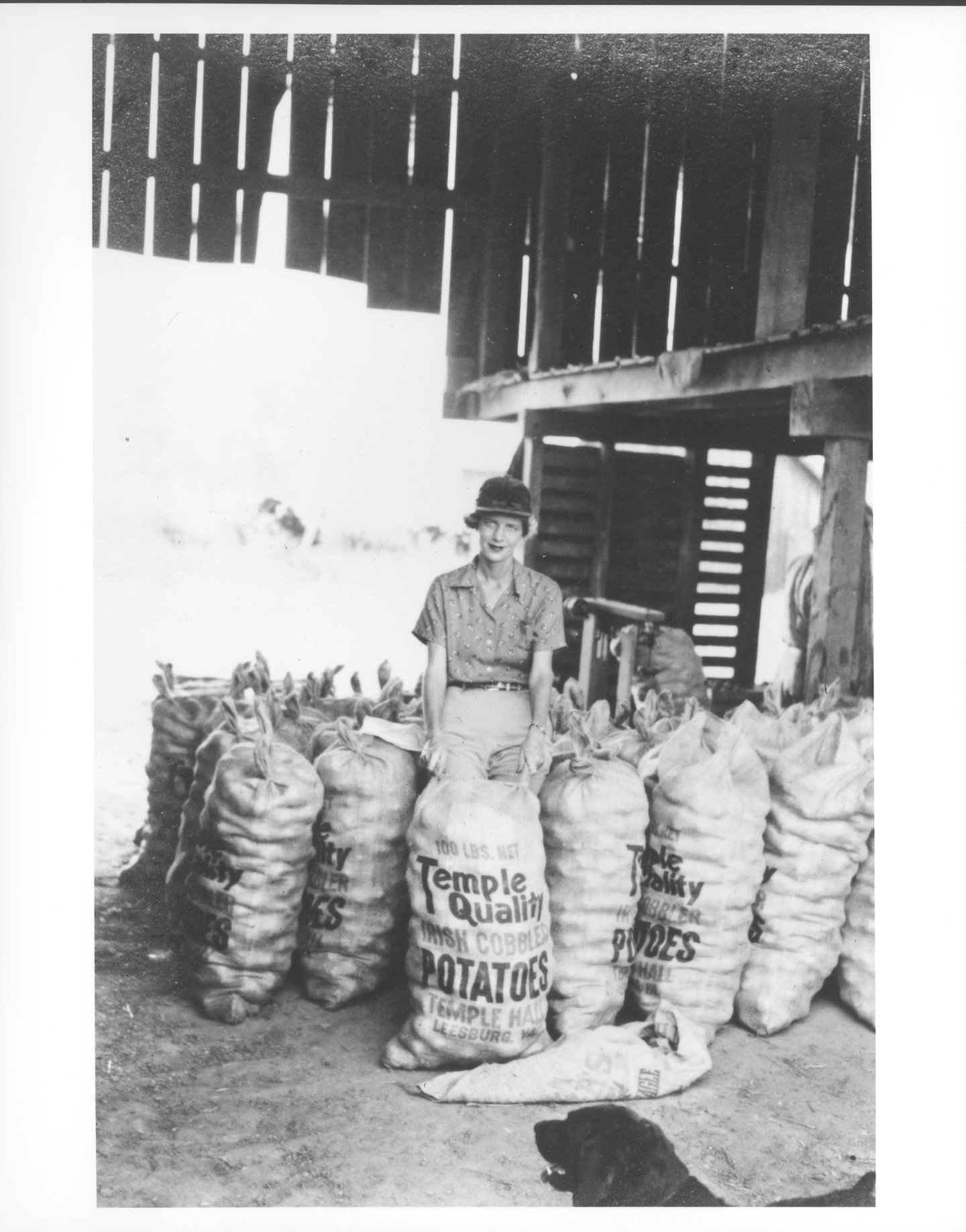 black and white photo of a woman standing in a barn surrounded by potato sacks