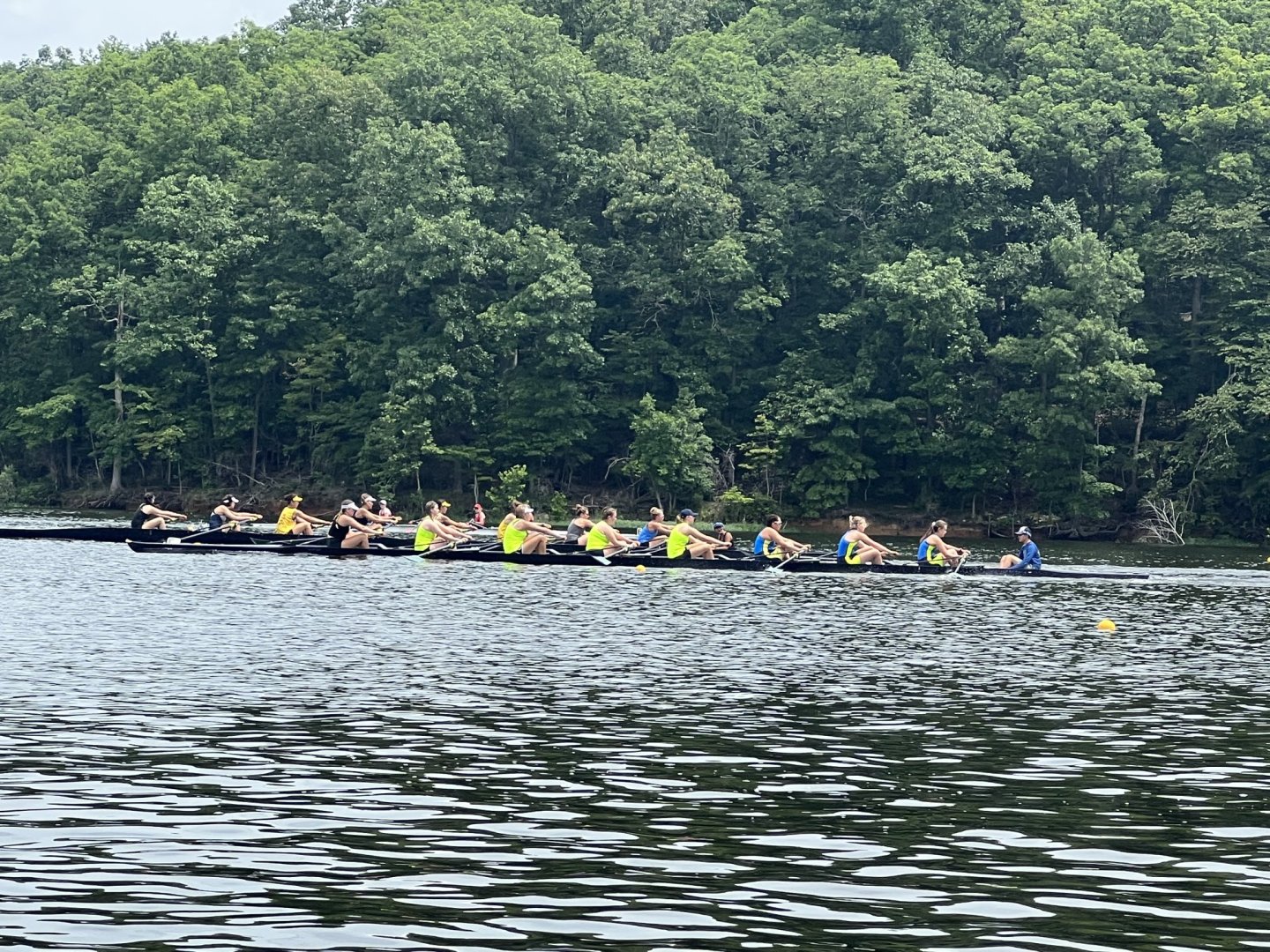 Rowing team paddling on a lake with a forested background.