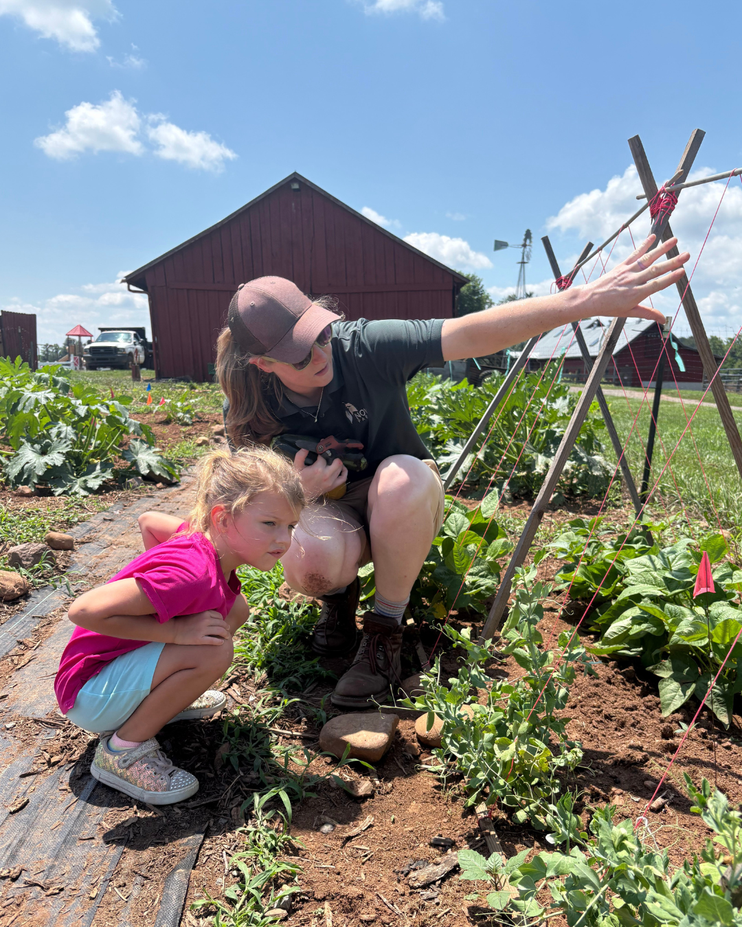 Woman and child examine plants in a sunny garden near a red barn.