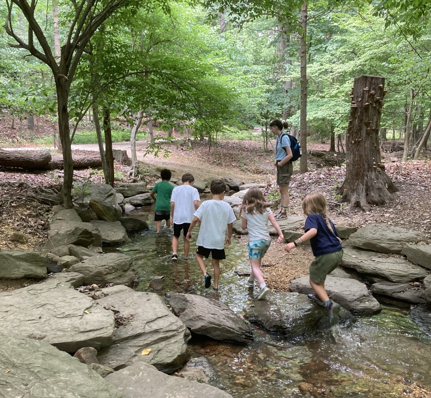 Children crossing a rocky stream in a forest, led by an adult.