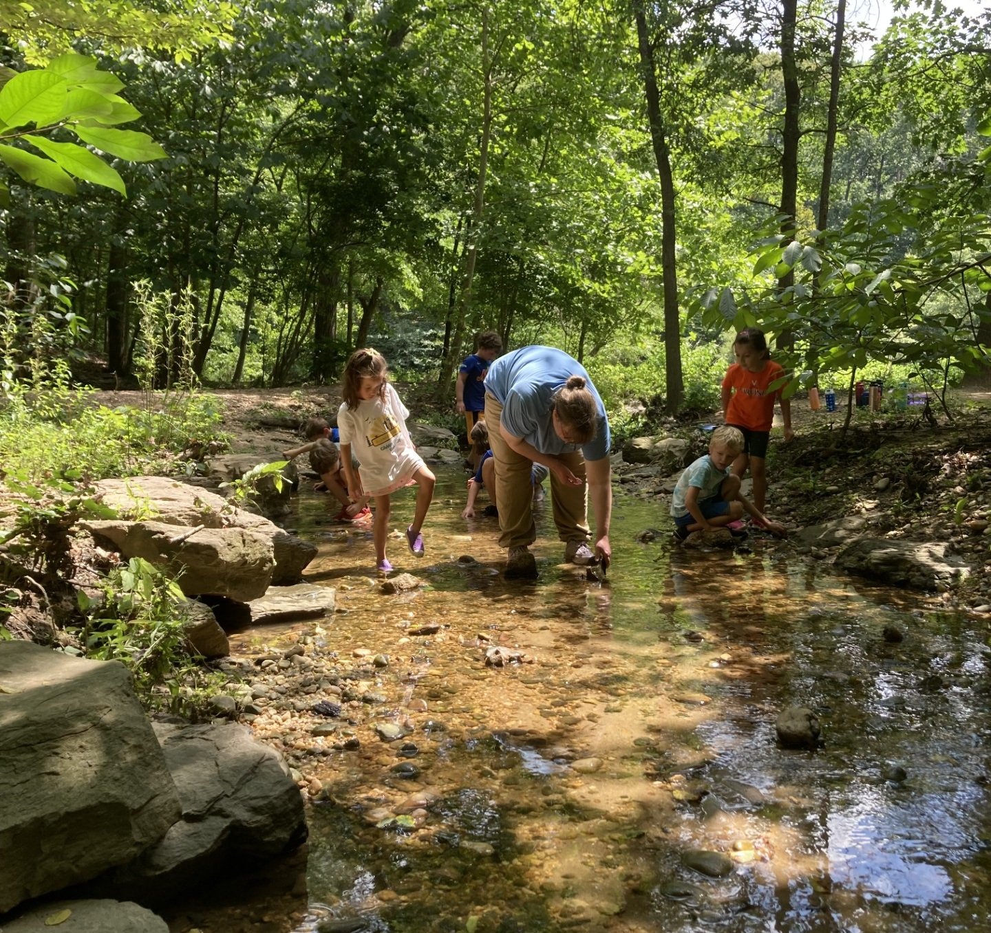 Children exploring a shallow forest stream.
