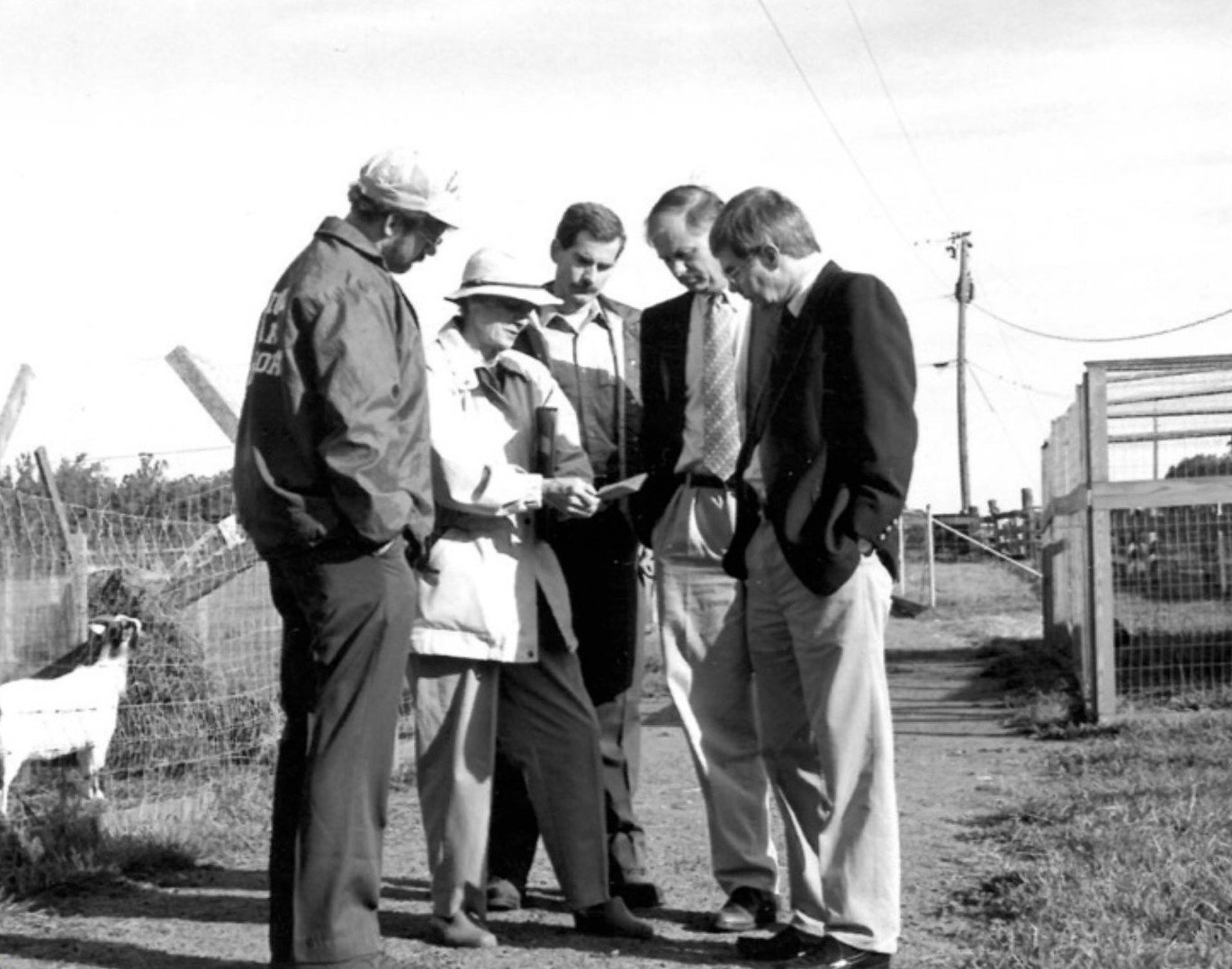 Five people in discussion near a fence, black and white photo.