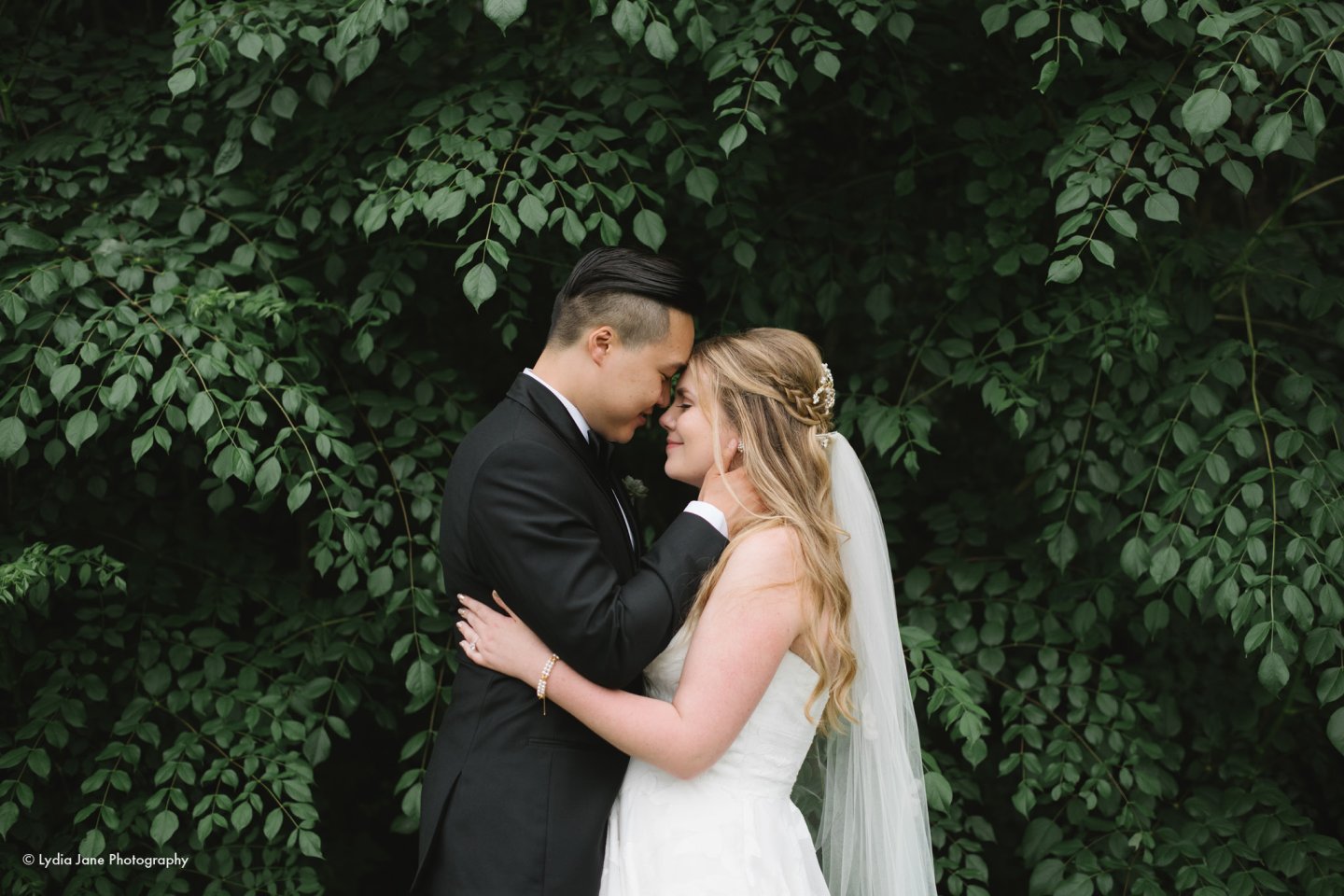 Bride and groom embrace, surrounded by lush green leaves.