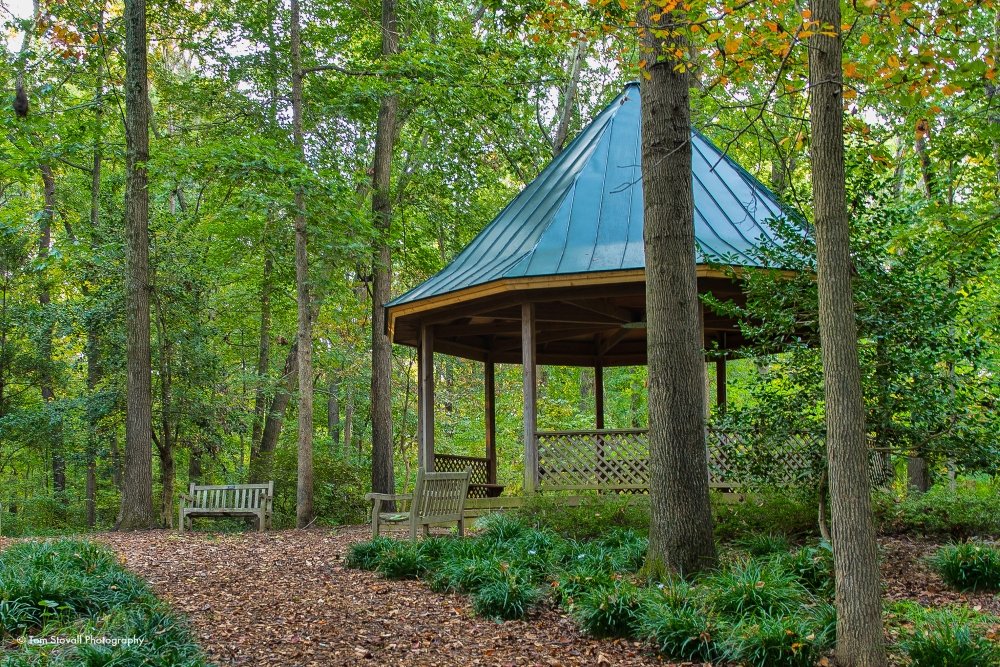 Gazebo in a forested park with a green roof, surrounded by trees and benches.