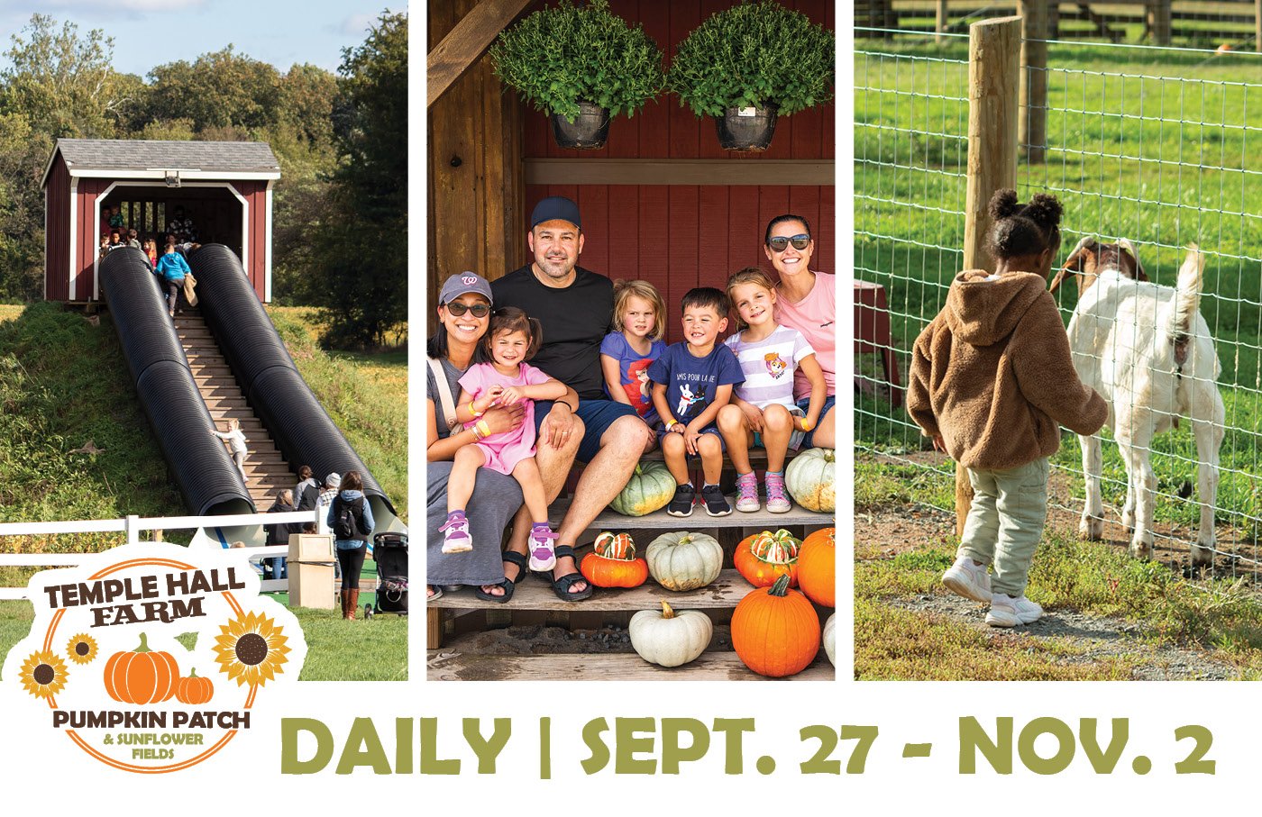 Children playing at a farm; slide, family with pumpkins, girl petting a goat.