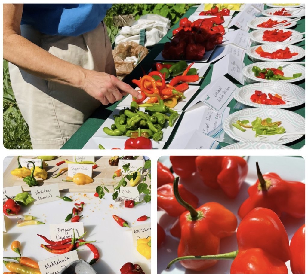 PEPPER FEST