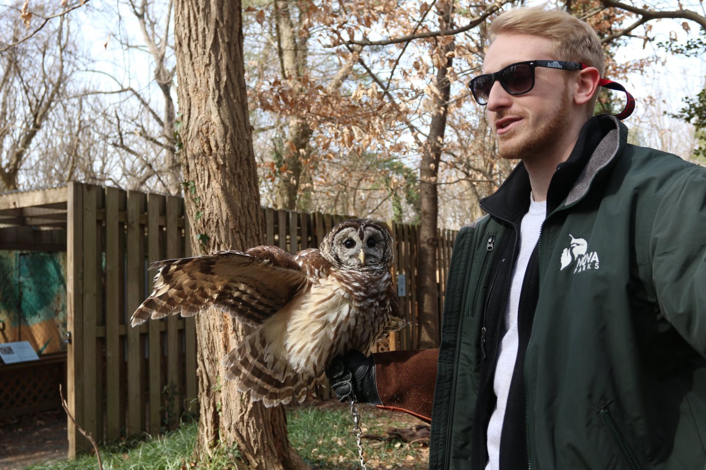 RAPTORS OF THE POTOMAC