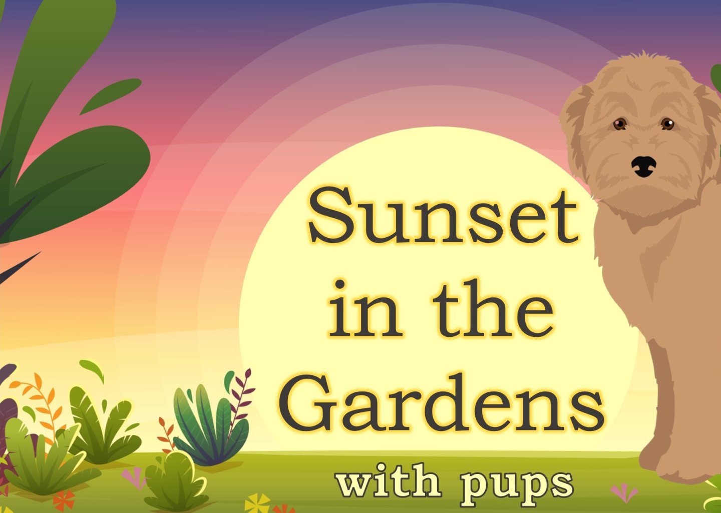 Sunset with plants and a fluffy dog.