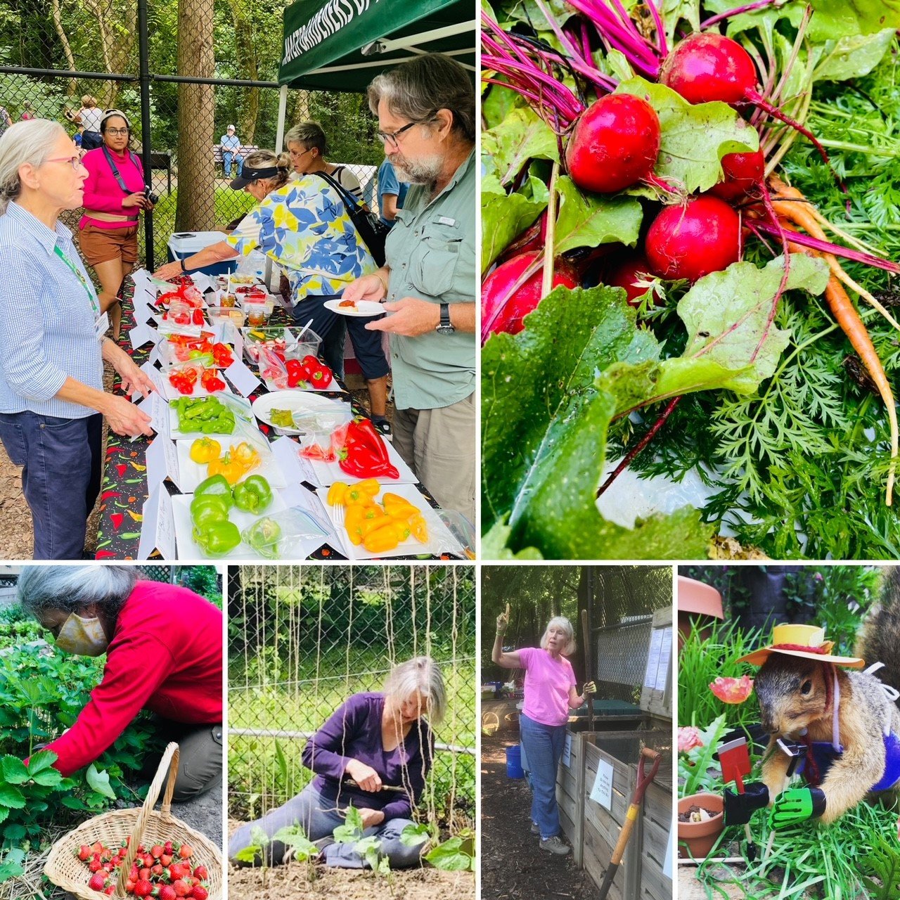 Community garden fair with fresh produce and gardening activities.