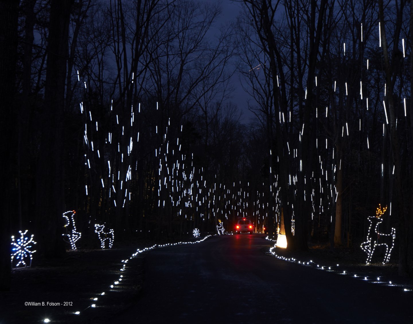 Christmas lights on trees along a dark road, with glowing reindeer and snowflakes.