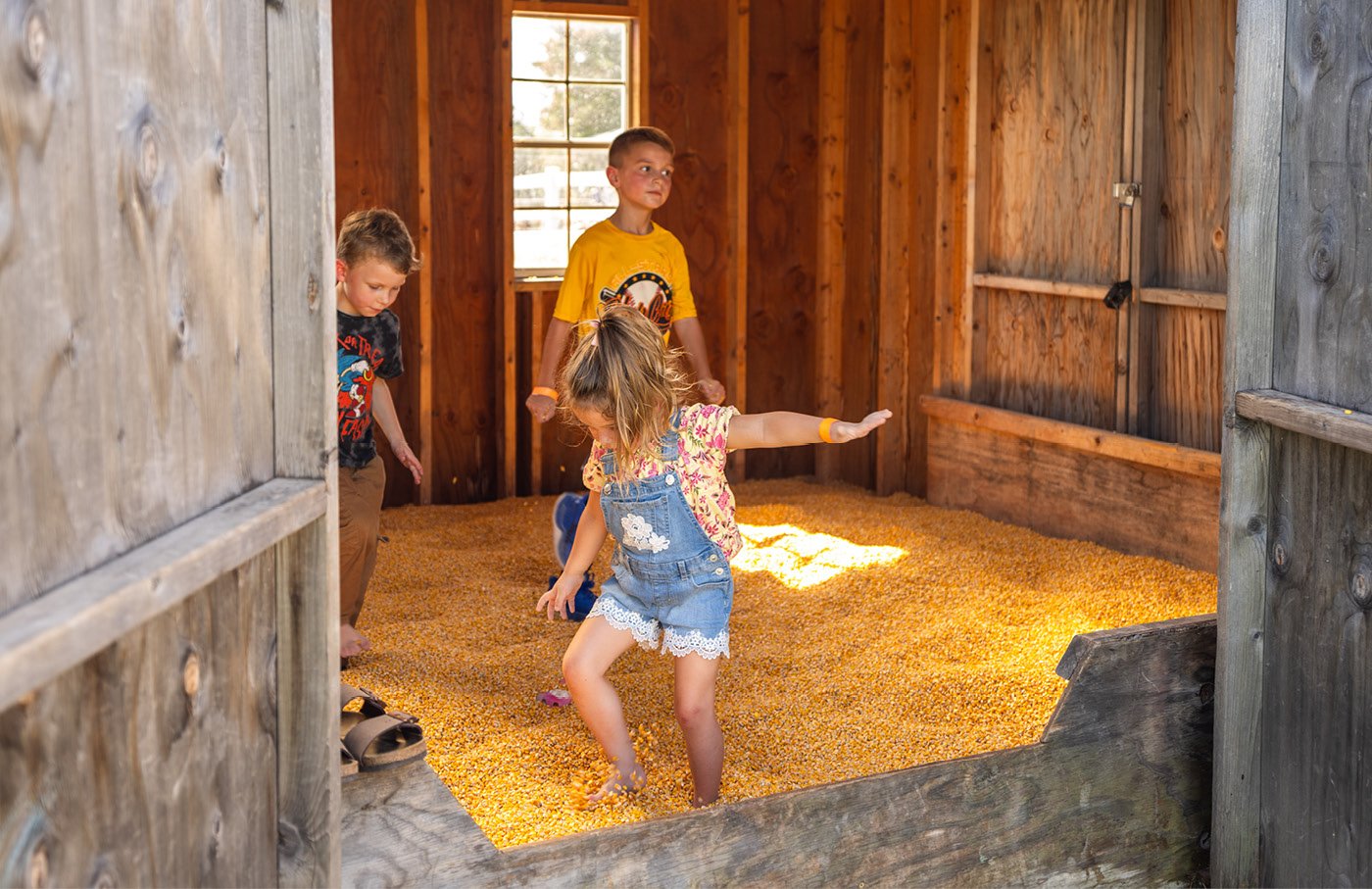 Children playing in a room filled with corn kernels.