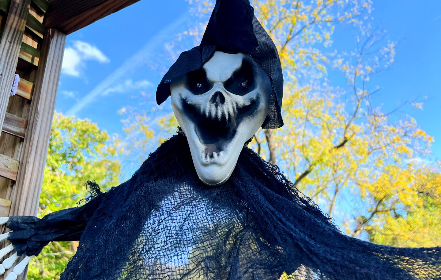 Spooky Halloween skeleton decoration under a clear blue sky.