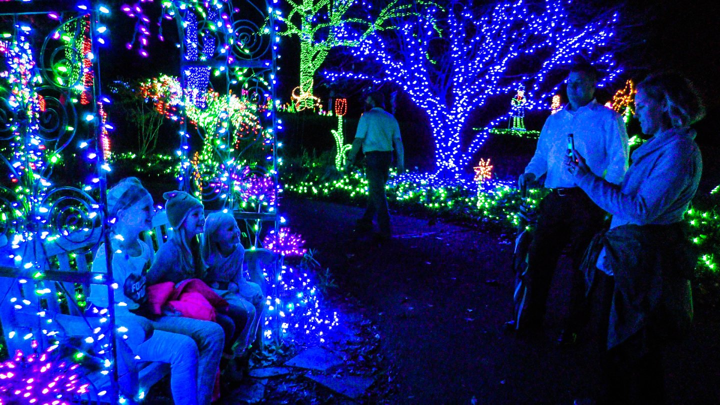 Colorful light display in a park, people enjoying the glowing decorations at night.