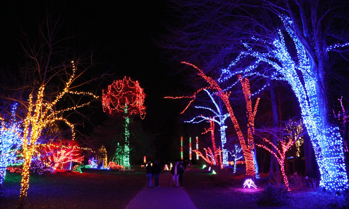 Colorful trees lit with festive lights in a nighttime park setting.