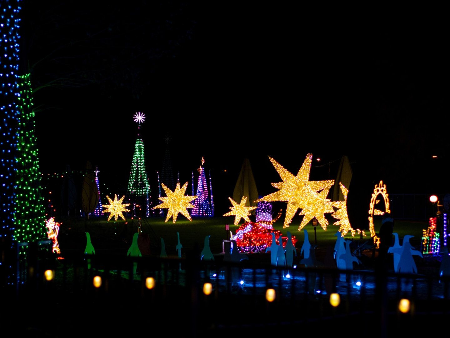 Colorful holiday lights in a park, featuring stars and trees.