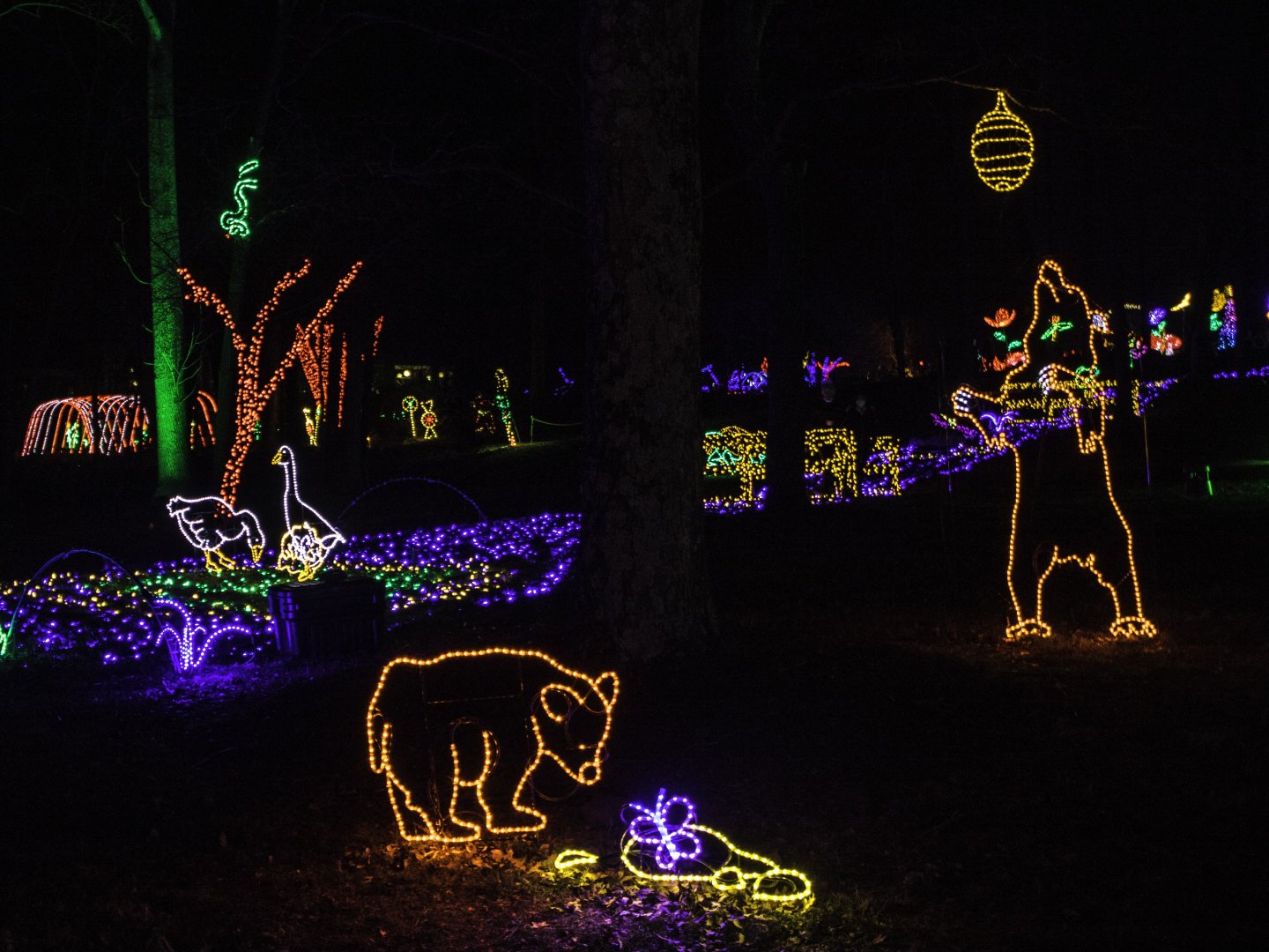 Colorful animal-shaped holiday lights in a dark outdoor setting.