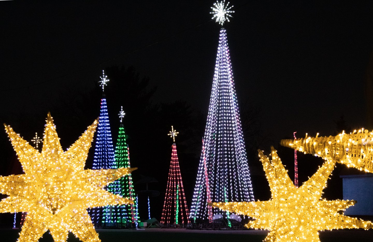 Colorful holiday light trees and golden stars in a dark sky.
