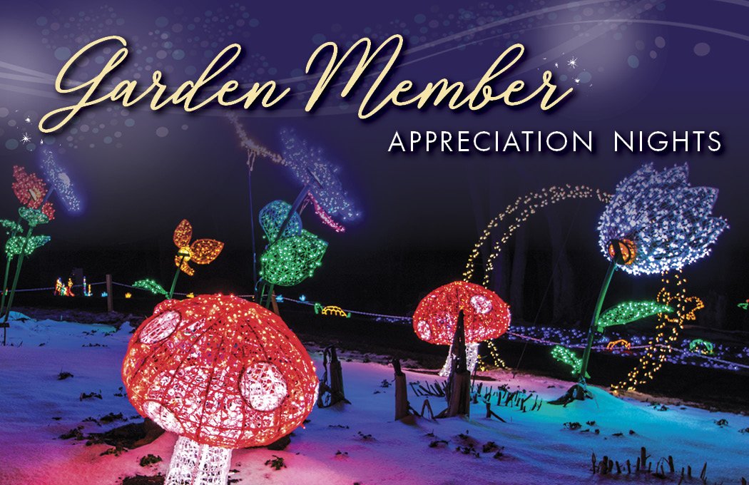 Colorful illuminated garden with mushroom and flower lights at night.