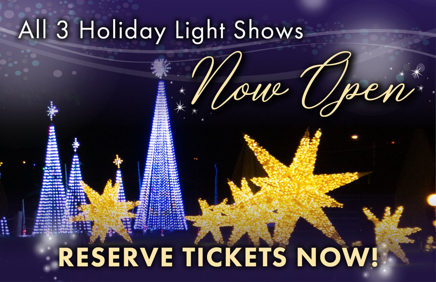 Holiday light show with illuminated trees and stars, dark background.