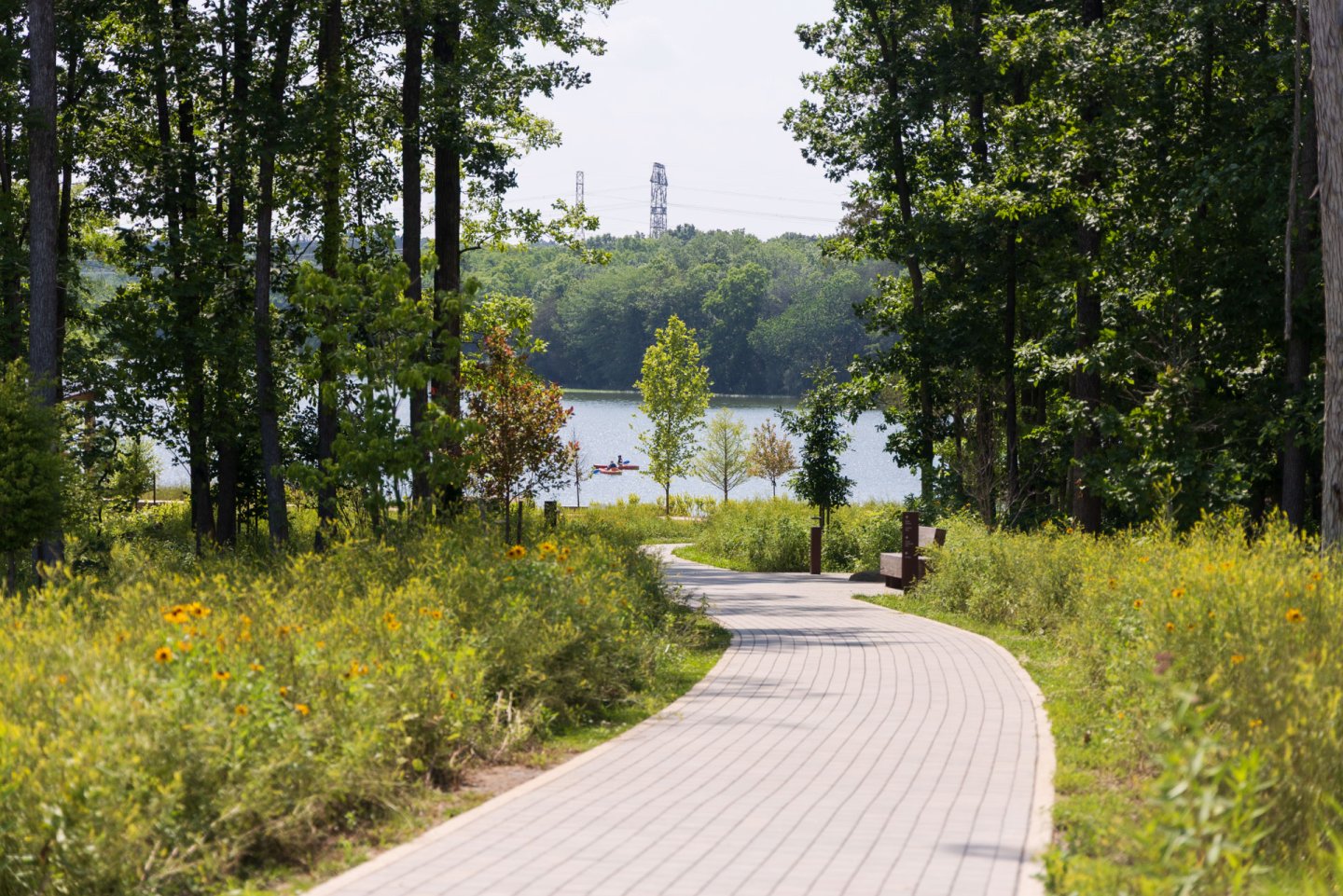 Pathway through a park, leading to a lake surrounded by trees.