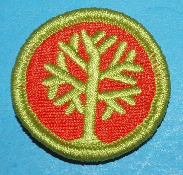 Embroidered patch with a green tree on a red background.