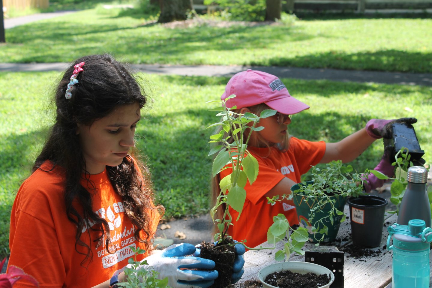 Two people planting seedlings outdoors at a table, wearing orange shirts and gloves.