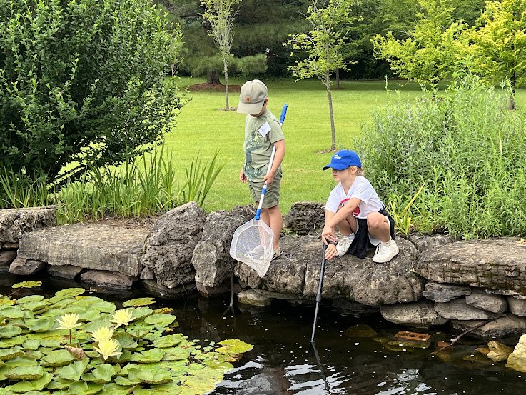 Two children with nets by a pond, surrounded by greenery.