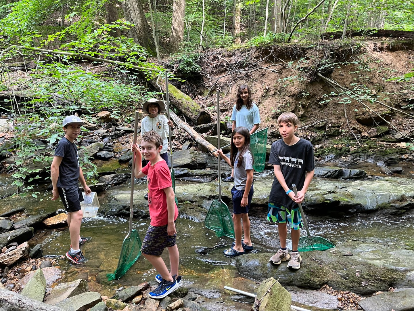 Kids with nets exploring a forest stream.