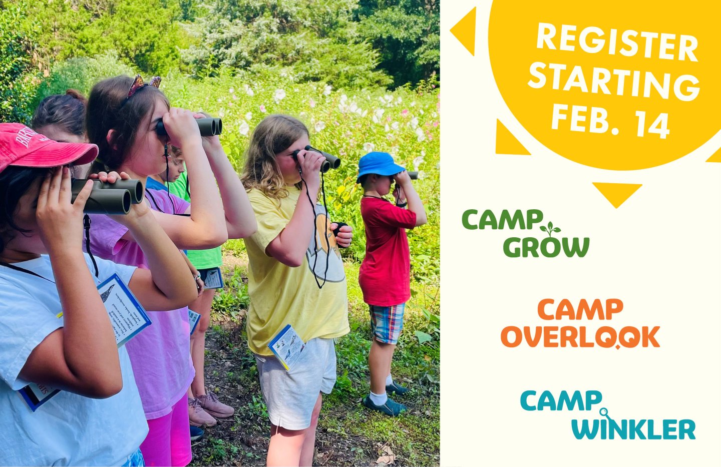 Children using binoculars in a sunny, grassy area.