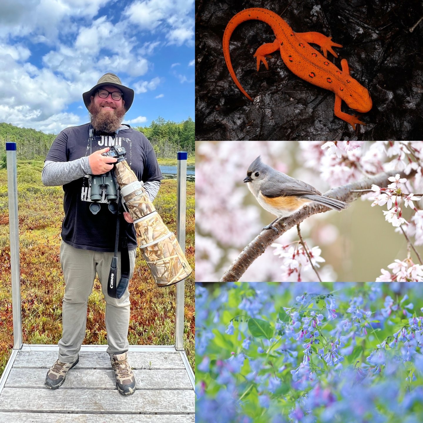 Man with camera beside images of a newt, bird on branch, and field of flowers.