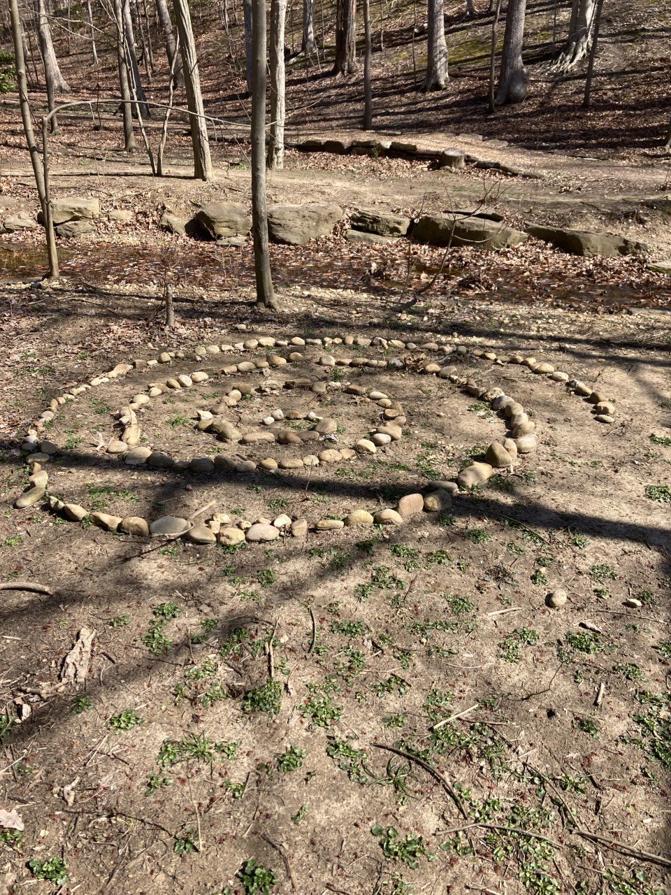 Stone spiral on forest ground, surrounded by trees.
