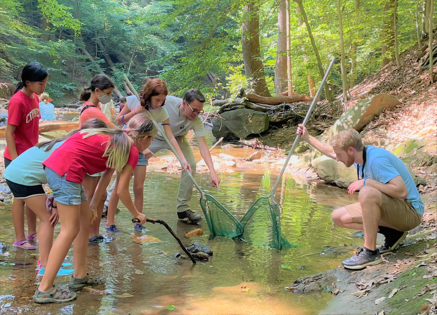 Group of people exploring a stream with nets in a forest.