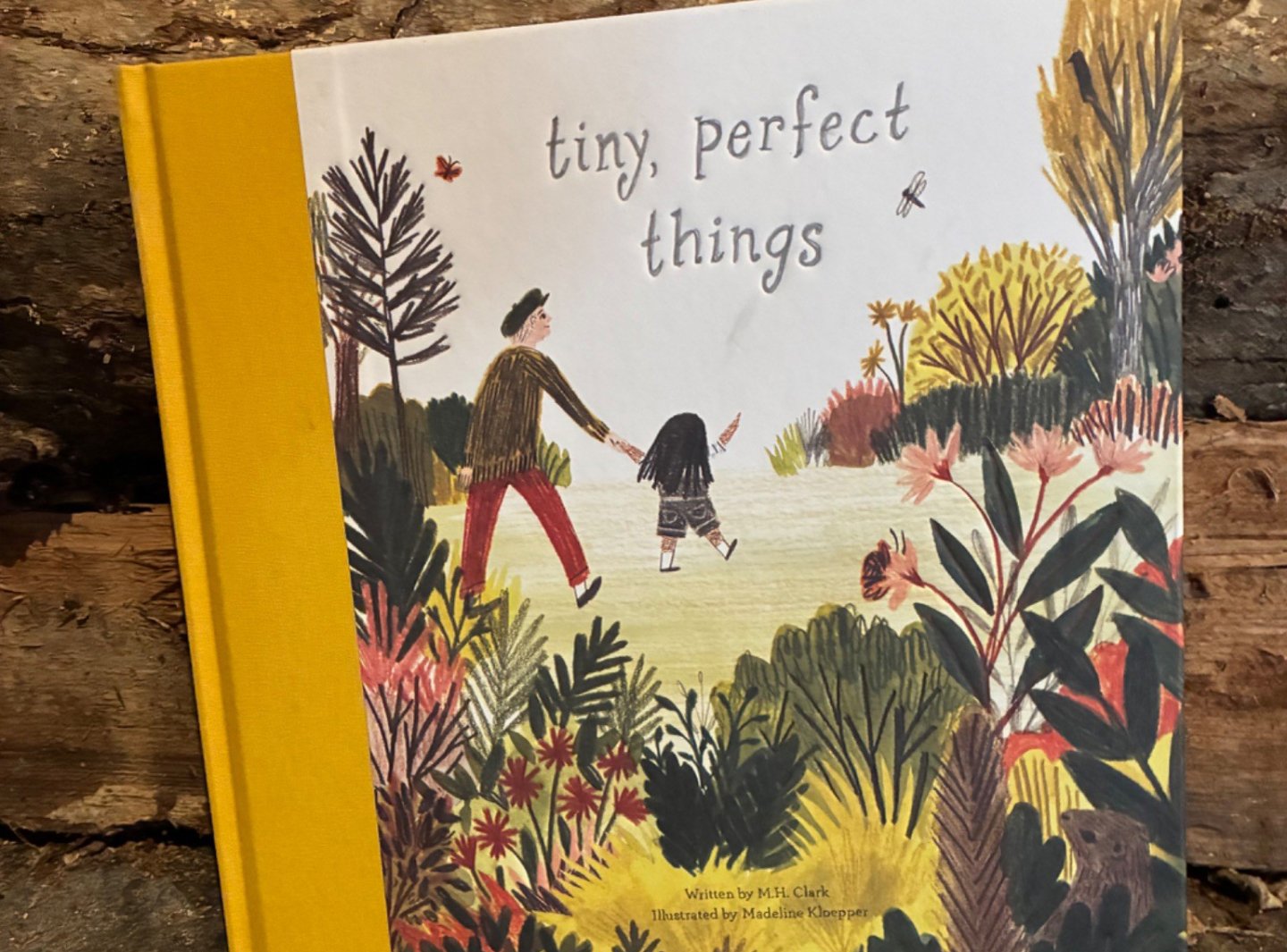 Children's book with colorful nature scene on cover.