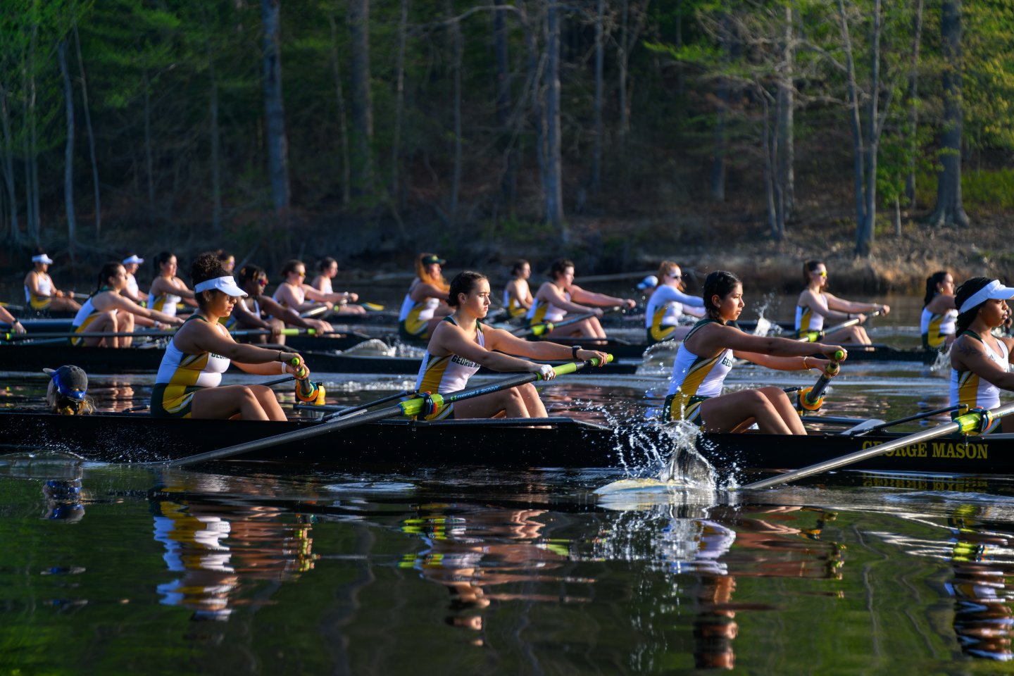 Rowers in synchronized motion on a calm lake, surrounded by trees.