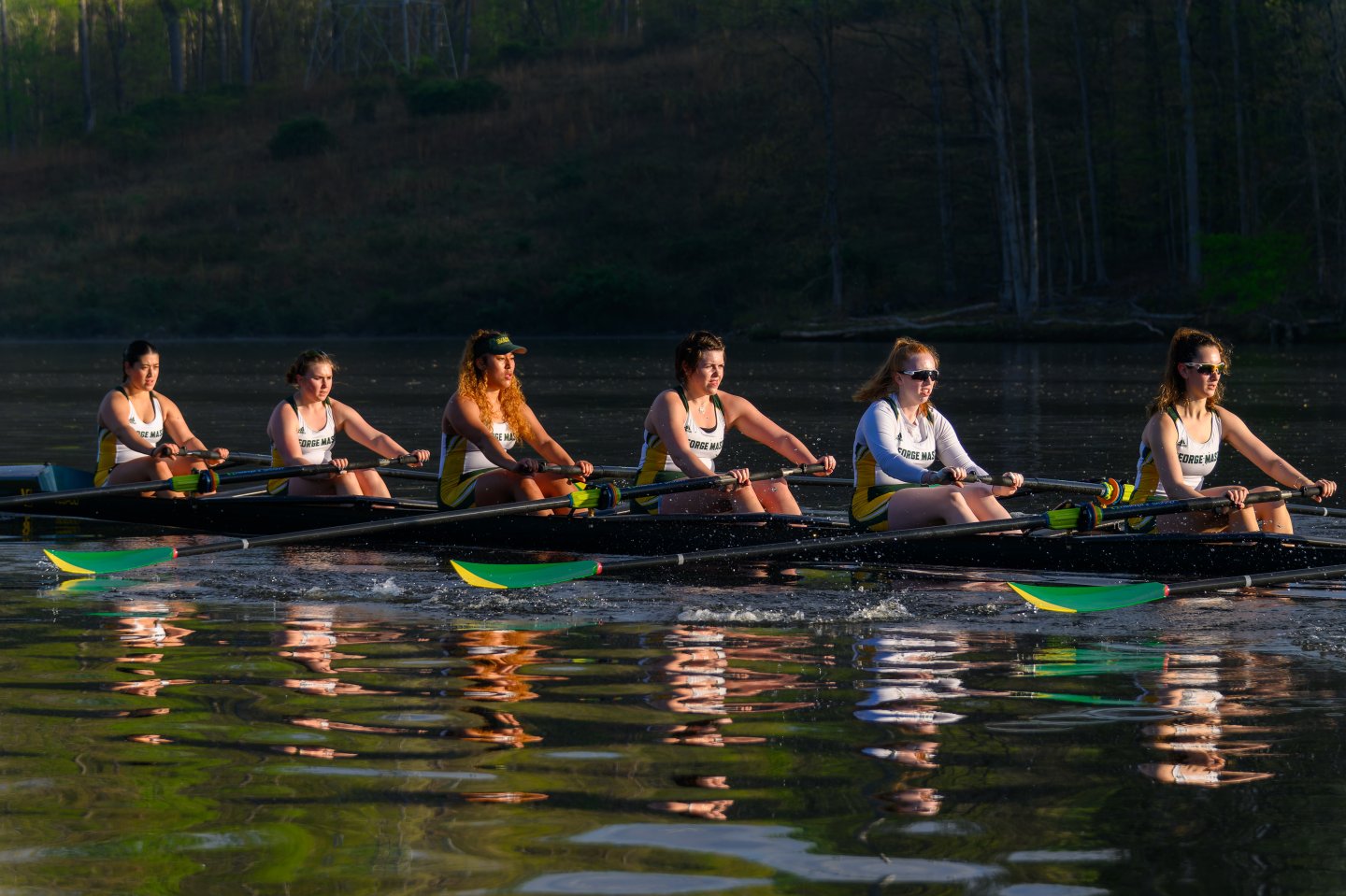 Rowers in sync on a calm lake, sunlight reflecting on water.