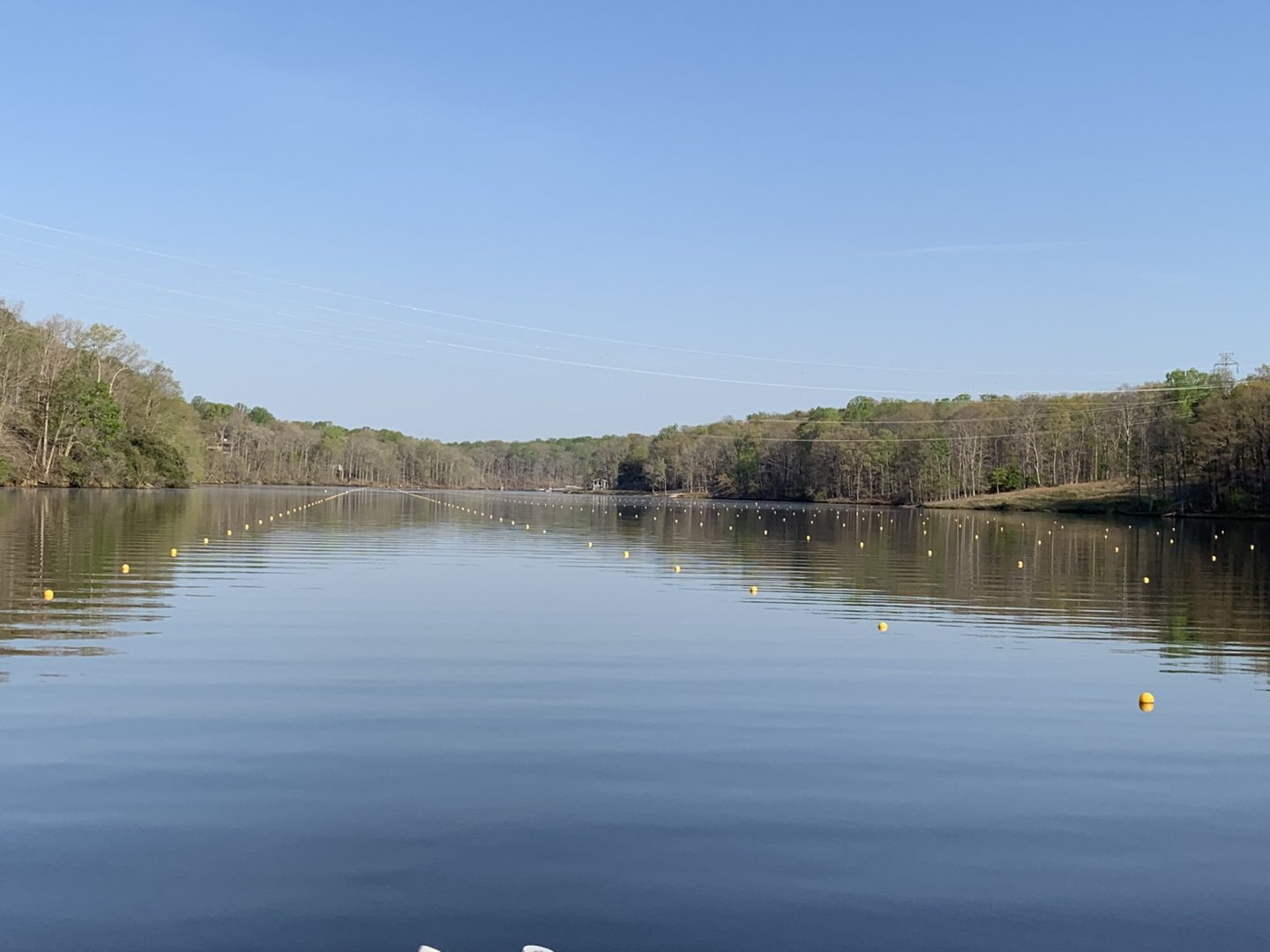 Calm lake with tree-lined shore under clear blue sky.
